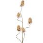 Konstgjord gren av skäggnejlika MARDUEN, beige, 115cm, Ø5cm
