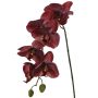 Konstgjord Phalaenopsis-orkidé LARDUEN, vinröd, 75cm, Ø10cm