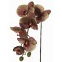 Konstgjord Phalaenopsis-orkidé LARDUEN, violett-grön, 75cm, Ø10cm