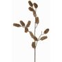 Dekorativ grangren LONGIH med kottar, brun-vit, 75cm
