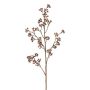 Dekorativ kvist av eukalyptus FRULIN med frukter, mörkrosa, 80cm
