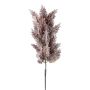 Dekorativ gren av pampasgräs PANCHE med fröställning, aubergine, 90cm