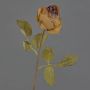 Konstblomma ros GROLK, torkad look, brun, 45cm, Ø6cm
