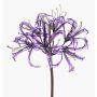 Konstblomma trädgårdsamaryllis LEIALOHA, glamour-lila-elektrum, 75cm