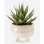 Konstgjord suckulent drakträd-agave NORSHU i dekorativ kruka, grön-röd, 20cm