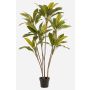 Konstväxt Cordyline MEIKE, konststammar, dekorativ kruka, grön, 160cm