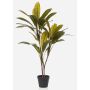 Konstväxt Cordyline MEIKE, konststammar, dekorativ kruka, grön, 105cm