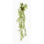 Konstgjord hängväxt Asparagus Plumosus SHALLON på gren, grön, 110cm