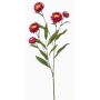 Dekorativ kvist med stråblomma SNAVIK, cerise, 70cm