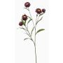 Dekorativ kvist med stråblomma SNAVIK, lila, 70cm