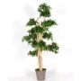 Dekorativ podocarpus MIRANA, naturstam, grön, 150cm - Tillverkad i Italien