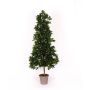 Dekorativ körsbärslorberpyramid KUSJENKA, naturstam, frukter, 120cm - Tillverkad i Italien
