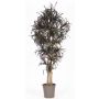 Imitation av dracaena marginata KIMANORA, naturstammar, grön-röd, 175cm - Tillverkad i Italien