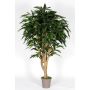 Dekoration Longifolia RAFIKO, naturliga stammar, grön, 175cm - Tillverkad i Italien