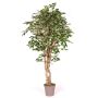 Konstgjord Ficus Benjamini YANEXY, naturstammar, grön-vit, 175cm - Tillverkad i Italien