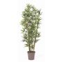 Konstgjord bambu KUSJA, naturliga bambustavar, crossdoor, 175cm - Tillverkad i Italien