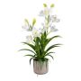 Plastblomma Cymbidium-orkidé CANFOL, melamin-kruka, rötter, vit, 60cm