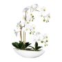 Konstgjord Phalaenopsis-orkidé JELTRON, keramikskål, rötter, vit, 60cm
