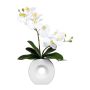 Konstgjord Phalaenopsis-orkidé DRELMOR, keramikvas, rötter, vit, 35cm