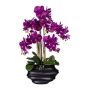 Konstgjord Phalaenopsis-orkidé ZALBROK, dekorvas svart, rötter, lila, 75cm