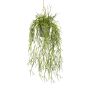 Konstgjord Rhipsalis hängande blomkruka SKRAKY, dekorativ kruka, hängande, grön, 60cm