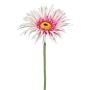 Dekorationsblomma Gerbera FELISY, rosa-vit, 65cm