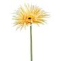 Dekorationsblomma Gerbera FELISY, gul, 65cm