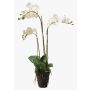 Konstgjord Phalaenopsis-orkidé PABLA, jordklump, vit, 70cm
