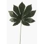 Konstblad Aralia FARIS, grönt, 55cm