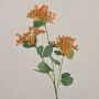 Konstgjord rölleka WONDI, orange, 65cm, Ø9cm