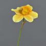 Dekorationsblomma narciss FEIHAO, orange-gul, 40cm, Ø10cm