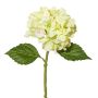 Konstgjord hortensia BLUVE, ljusgrön, 35cm