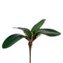 Dekorationsblad Phalaenopsis-orkidé ZULKRAM, stickpinne, luftrötter, 20cm