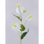 Konstgjord blomma Gloriosa MAFIRNA, vitgrön, 80cm