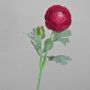 Konstgjord ranunkel CADISS, cerise, 50cm, Ø7,5cm