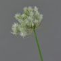 Dekorationsblomma, maskros BAOJI, krämfärgad, 70cm, Ø11cm