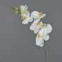 Dekorativ gren med Phalaenopsis-orkidé LANUA, krämfärgad, 70cm, Ø8,5-12cm