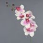 Dekorativ gren med Phalaenopsis-orkidé LANUA, krämrosa, 70cm, Ø8,5-12cm