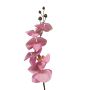 Dekorativ gren med Phalaenopsis-orkidé LANUA, rosa, 70cm, Ø8,5-12cm