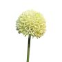 Konstgjord blomma Allium BAILIN, krämgrön, 45cm, Ø6,5cm