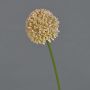 Konstgjord blomma Allium BAILIN, rosa-krämfärgad, 45cm, Ø6,5cm