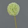 Konstgjord blomma Allium BAILIN, krämgrön, 65cm, Ø10cm