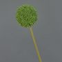 Konstgjord blomma Allium BAILIN, grön, 65cm, Ø10cm