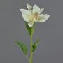 Konstgjord blomma Clematis JINJIN, krämfärgad, 50cm, Ø15cm