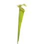 Konstgjord suckulent Sarracenia YUNFEI på pinne, grön, 60cm