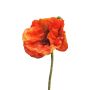 Konstblomma vallmo ANKANG, orange, 70cm, Ø9,5cm