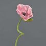 Konstblomma vallmo ANKANG, rosa, 70cm, Ø9,5cm