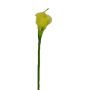 Konstblomma zantedeschia DOU, gulgrön, 70cm