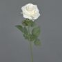 Konstgjord ros KAILIN, krämfärgad, 65cm, Ø9cm