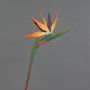 Dekorationsblomma Strelitzia DONGLIN, orange-violett, 85cm, 14x25cm